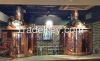 Mash Boiler beer equip...