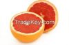 Fresh Citrus Fruits