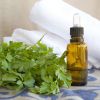 Parsley Seed Oil