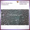 Shot Blasting Steel Sh...