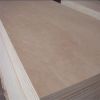 Supply 6mm furniture grade okoume plywood