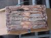Frozen Squid Frozen Il...