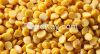 Lentil dal , Toor dal ...