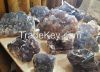 FLUORITE SPECIMENS LOT