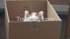 monya test