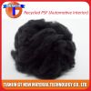 polyester fiber