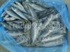 Frozen Mackerel Whole ...