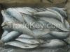 FROZEN SARDINELLA AURITA Whole Round