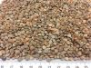 Red Lentils