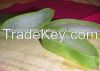 Vietnam Fresh Aloe Vera Fruit/Juice