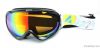 Ski Goggles Stock