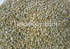 Green Millet