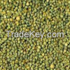 Green Millet