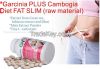  Garcinia PLUS Cambogia Diet Fat Slim