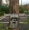 120 Degree Wild View MMS GPRS Trap Cameras GPRS Forest Cameras GSM GRRS Wild Cameras Manufacturer