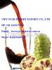 dried noni fruit/ noni powder extarct/ noni juice at the best price