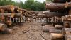 Wood Logs