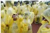 PE disposable one time use emergency outdoor poncho raincoat rainwear