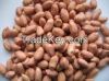 Peanuts