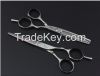 Pair of Hair Saloon Sc...
