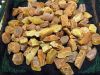 Baltic amber (Samples ...