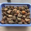 Baltic amber (Samples ...