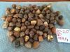 Baltic amber (Samples ...