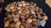 Baltic amber (Samples ...