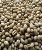 Green coffee beans Ara...