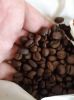 Green coffee beans Ara...