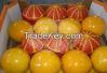 fresh orange ( valenci...