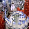 Automatic Pasteurized ...