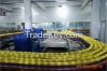 Turn-Key Juice Process...