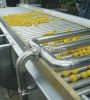Fruit Juice Processing...