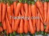 Carrots