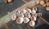 DRY COCONUT