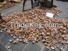 DRY COCONUT