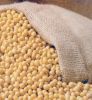 BRAZIL Yellow Soybean ...