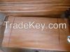 Eucalyptus Core Veneer