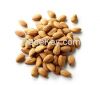 Raw Almond Nuts