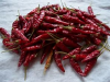 hot pepper cayenne