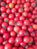 Organic Vegetables and...