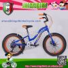 20 size steel frame student bike fat tires kids bicycle