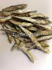 Dried Sprats / Anchovy...