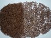 High Quality Cassia Tora Seeds