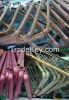 Wholesale export Cellp...