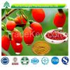 Pure natural organic goji berry wolfberry extract