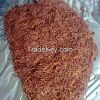 Earthworm: Lumbricus r...