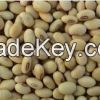 soyabeans, soybeans, s...