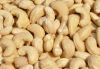 Processed Cashew  Nuts